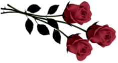 розовые самые темные (116) (235x125, 25Kb)