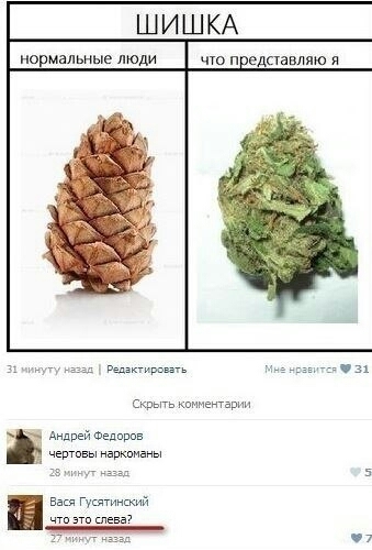 Регги