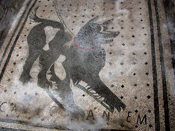 Собака в ошейнике и надпись Cave canem на полу дома в Помпеях.